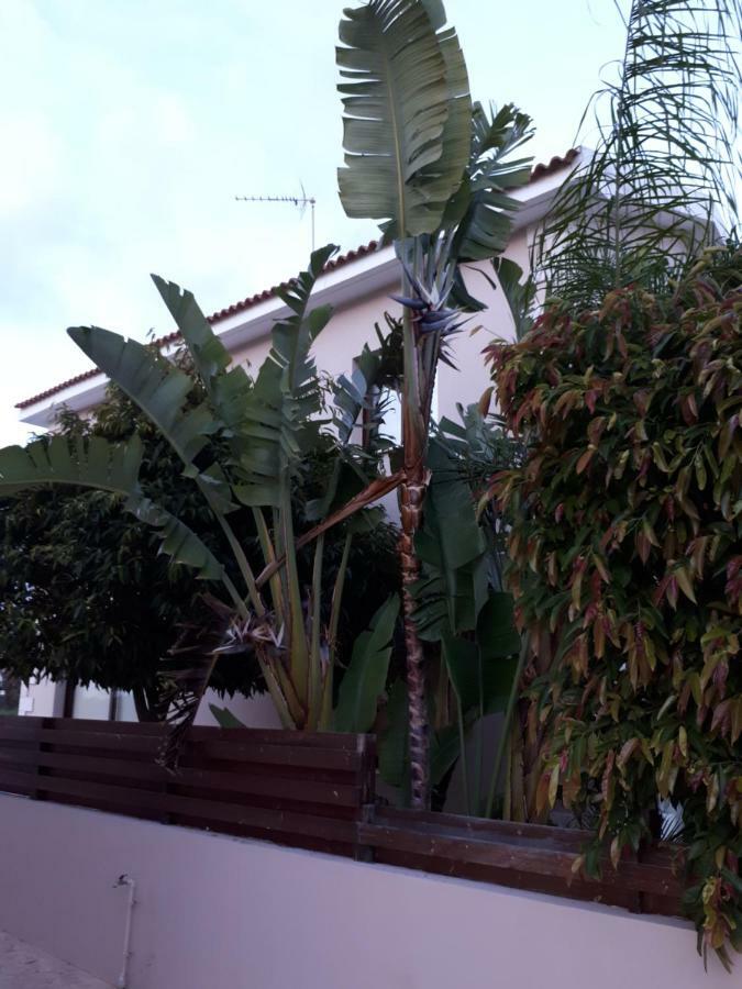 פרוטאראס Marias Villa מראה חיצוני תמונה